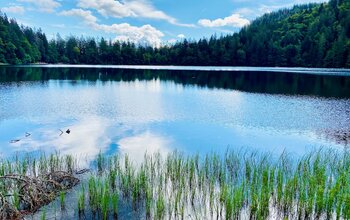 Feldsee