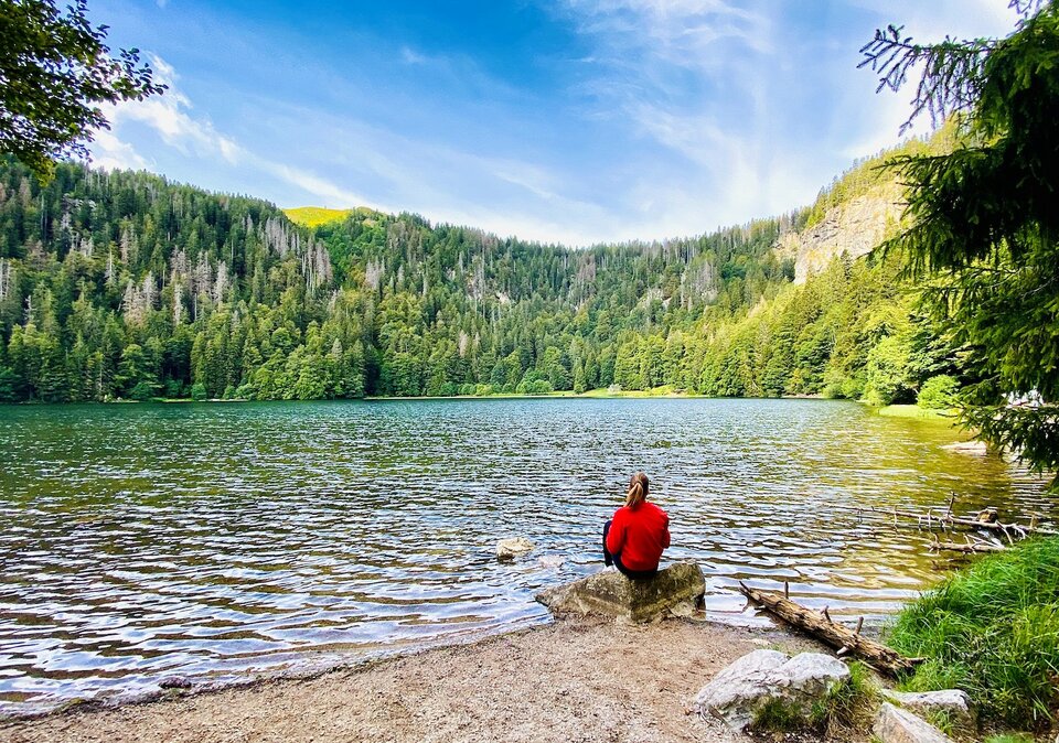 Blick über den Feldsee