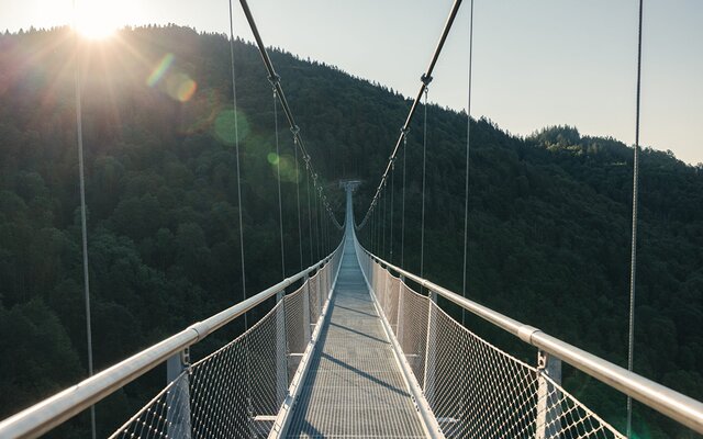 Hängebrücke in Todtnau