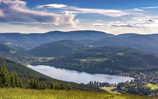 Blick auf den See