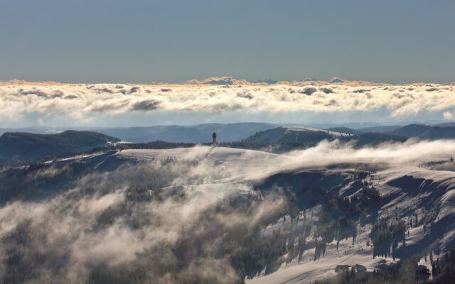 Hochschwarzwald im Winter