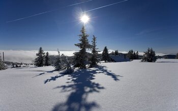 Verschneite Winterlandschaft