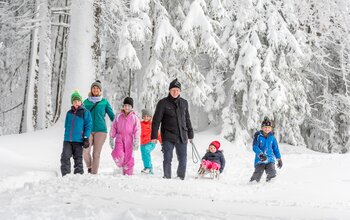 Familie mit Rodel im Wald